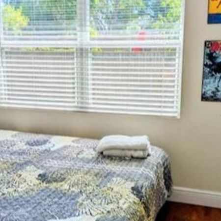Spacious House With Big Backyard In N. Hyde Park / Close To Downtown 坦帕 外观 照片