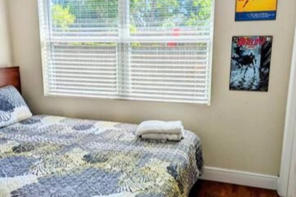 Spacious House With Big Backyard In N. Hyde Park / Close To Downtown 坦帕 外观 照片